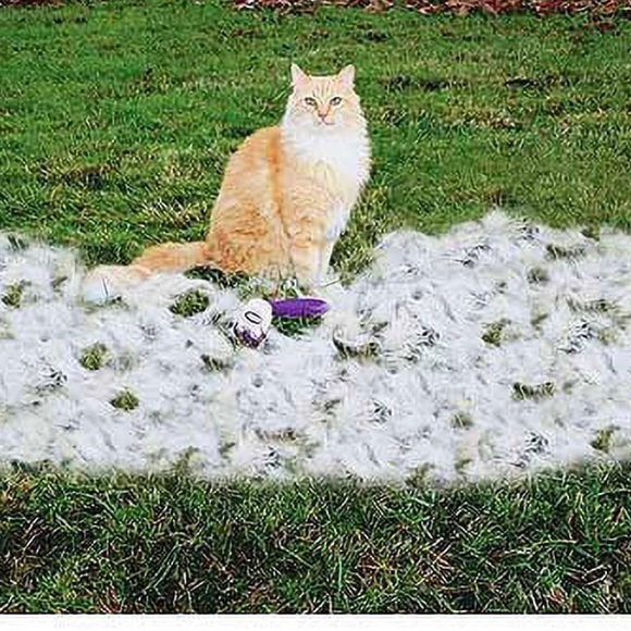 Generic bamboo Fur buster cat replacement blade and cover. 2in/5.08cm - Picture 5 of 6